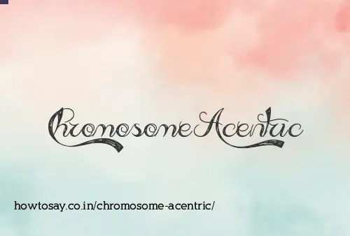 Chromosome Acentric