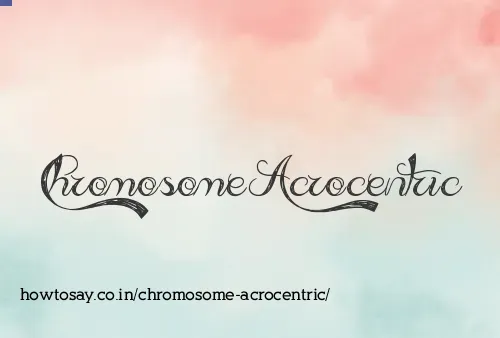 Chromosome Acrocentric