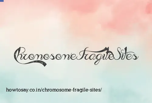 Chromosome Fragile Sites