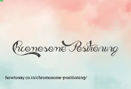 Chromosome Positioning