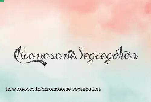 Chromosome Segregation