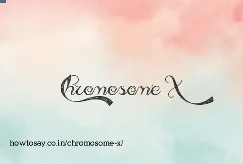 Chromosome X