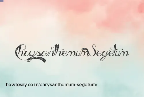 Chrysanthemum Segetum
