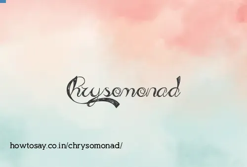 Chrysomonad