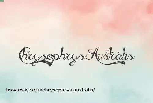 Chrysophrys Australis