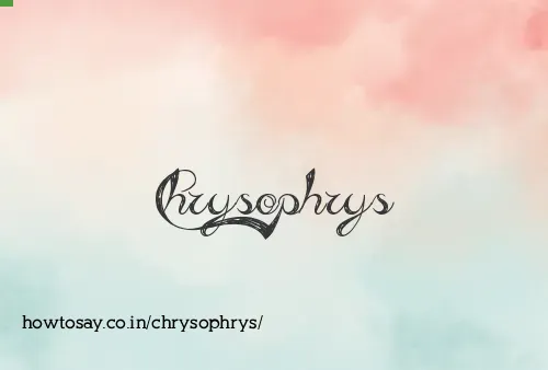 Chrysophrys