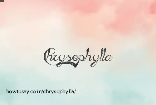 Chrysophylla