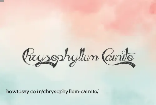 Chrysophyllum Cainito