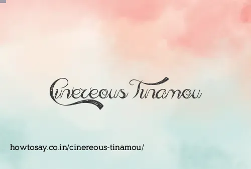 Cinereous Tinamou