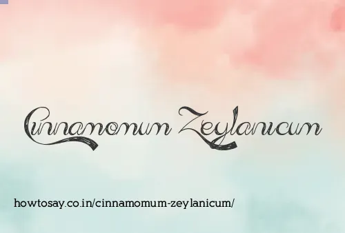 Cinnamomum Zeylanicum