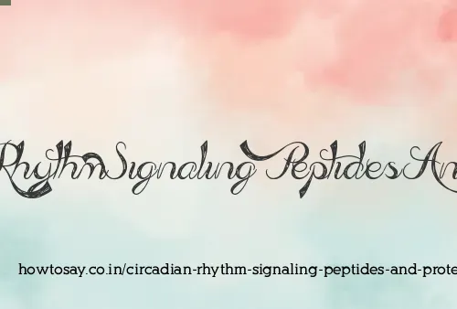 Circadian Rhythm Signaling Peptides And Proteins