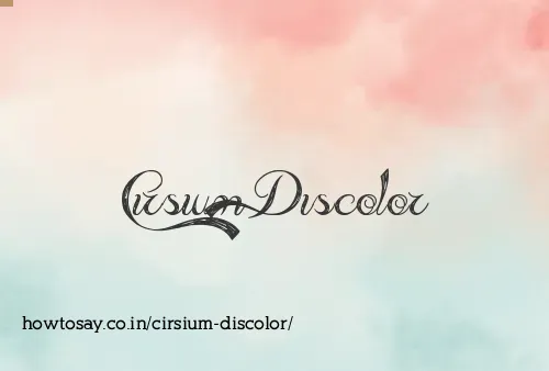 Cirsium Discolor