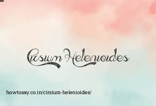 Cirsium Helenioides