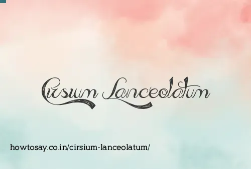 Cirsium Lanceolatum