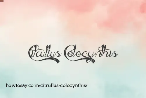 Citrullus Colocynthis