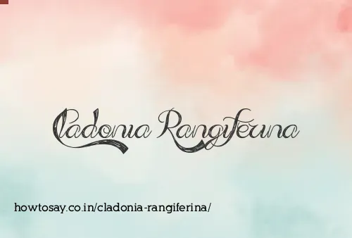Cladonia Rangiferina
