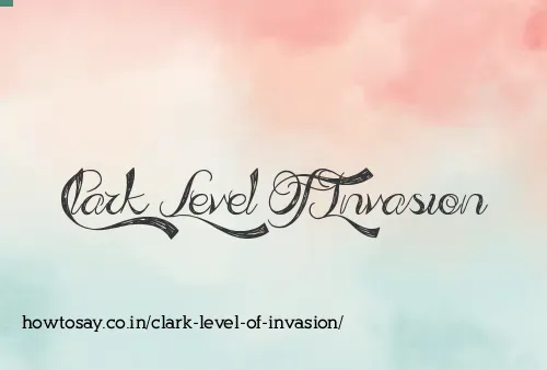Clark Level Of Invasion