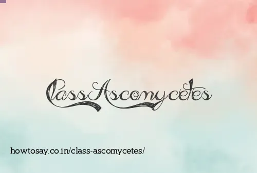 Class Ascomycetes