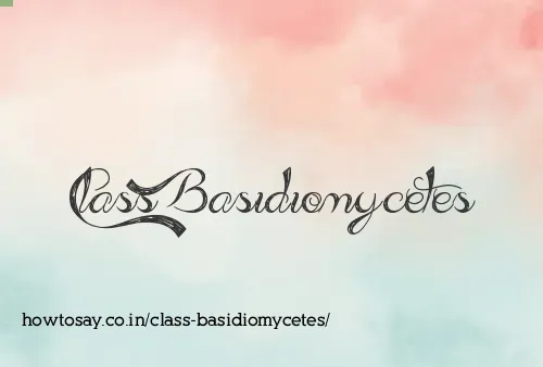Class Basidiomycetes