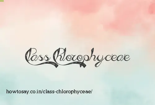 Class Chlorophyceae