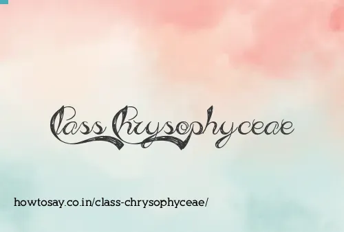 Class Chrysophyceae