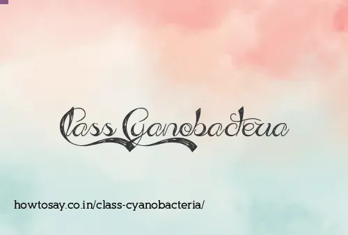 Class Cyanobacteria
