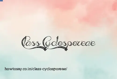 Class Cyclosporeae