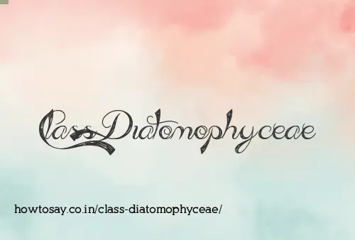 Class Diatomophyceae