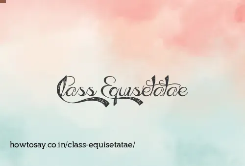 Class Equisetatae