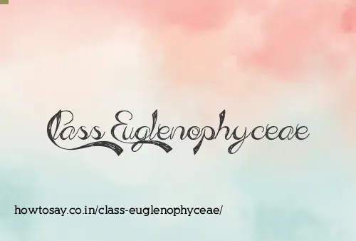 Class Euglenophyceae