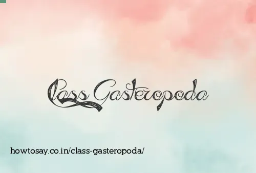 Class Gasteropoda