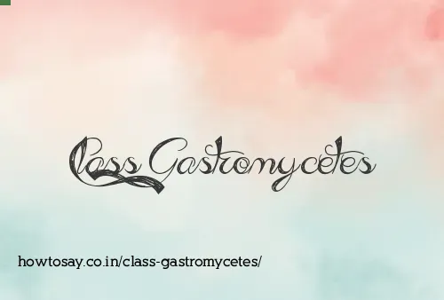 Class Gastromycetes