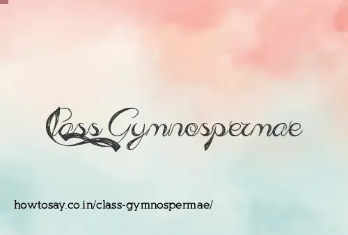Class Gymnospermae