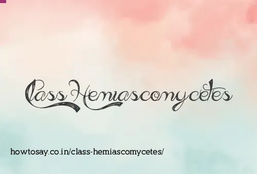 Class Hemiascomycetes