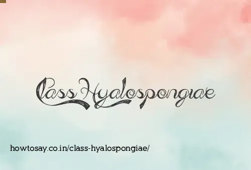 Class Hyalospongiae