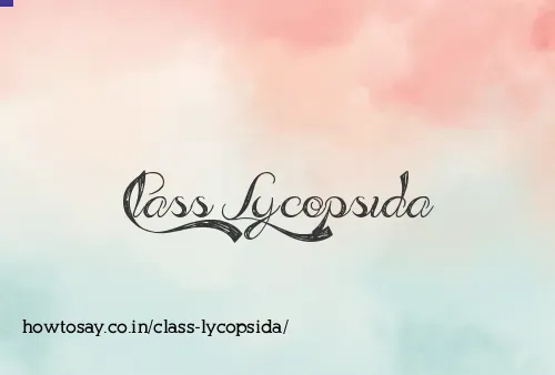 Class Lycopsida