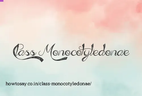 Class Monocotyledonae
