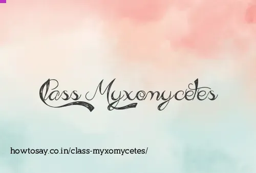 Class Myxomycetes