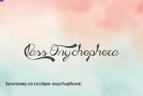 Class Onychophora