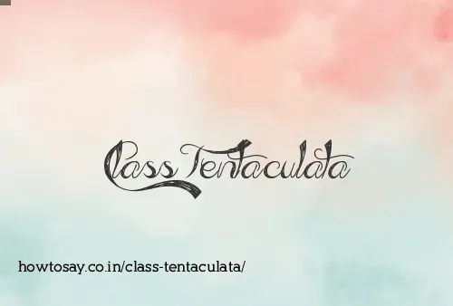 Class Tentaculata