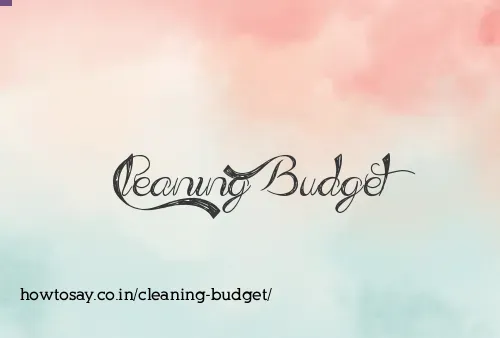 Cleaning Budget