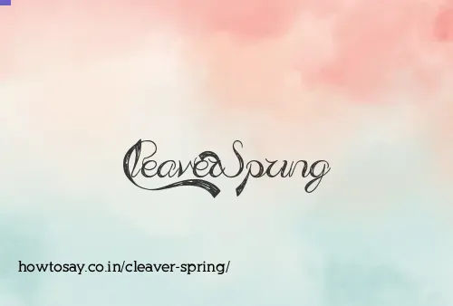 Cleaver Spring