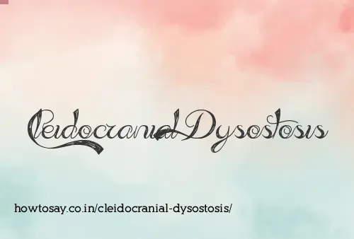 Cleidocranial Dysostosis