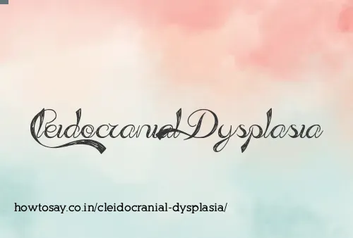 Cleidocranial Dysplasia
