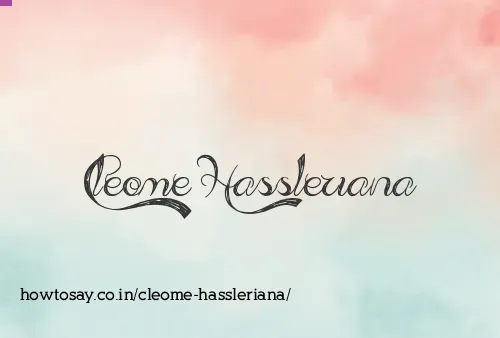 Cleome Hassleriana