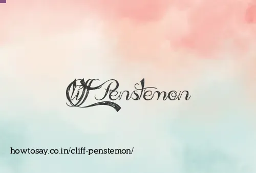 Cliff Penstemon