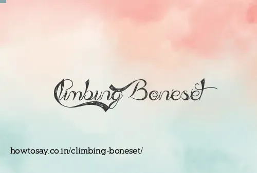 Climbing Boneset