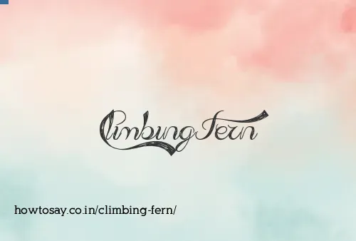 Climbing Fern