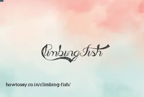 Climbing Fish