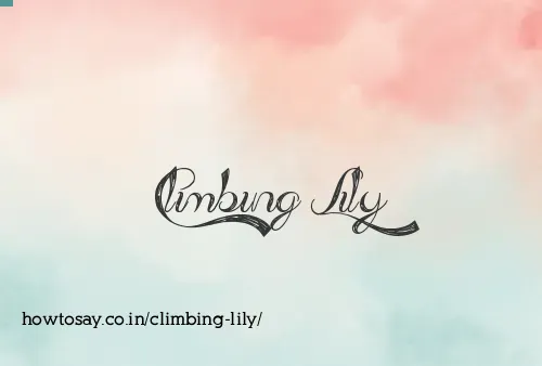 Climbing Lily